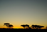 Botswana