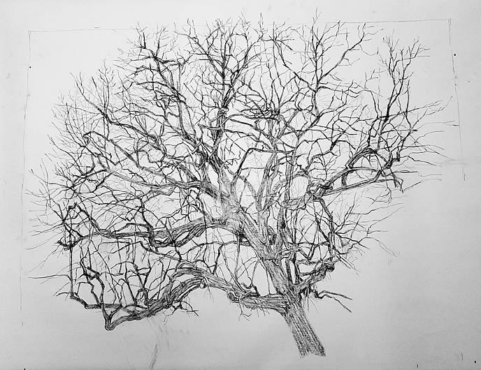 Tekening 2014